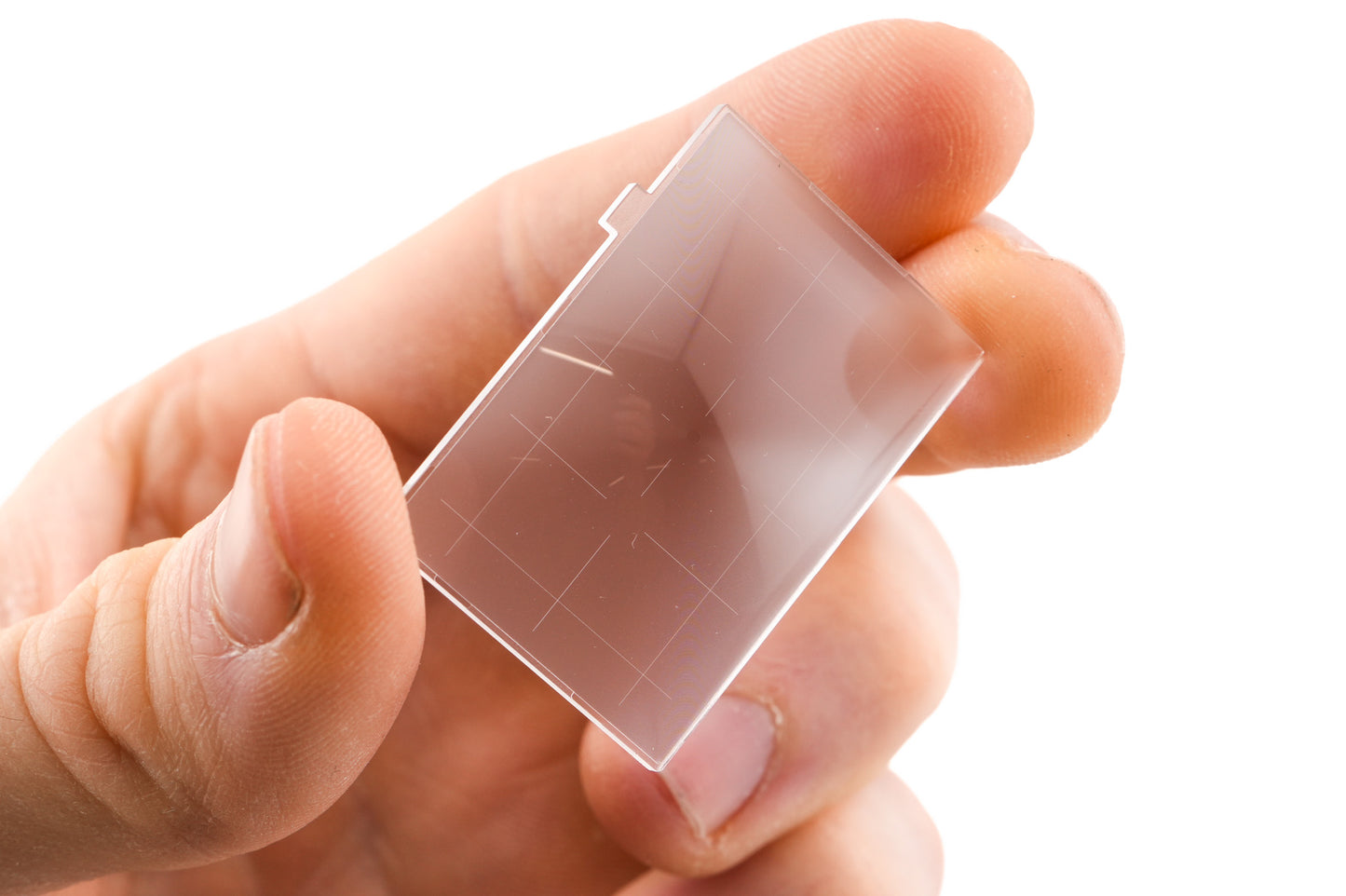 Nikon Focusing Screen Type E for F100 - Accessory