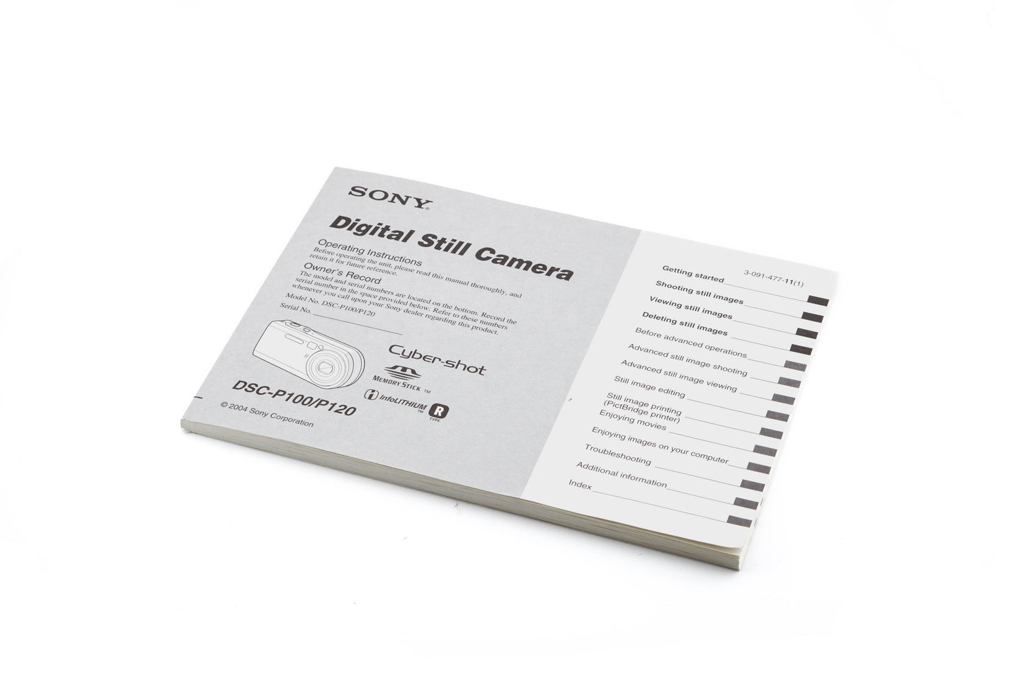 Sony Cyber-shot DSC-P100 Instructions - Accessory