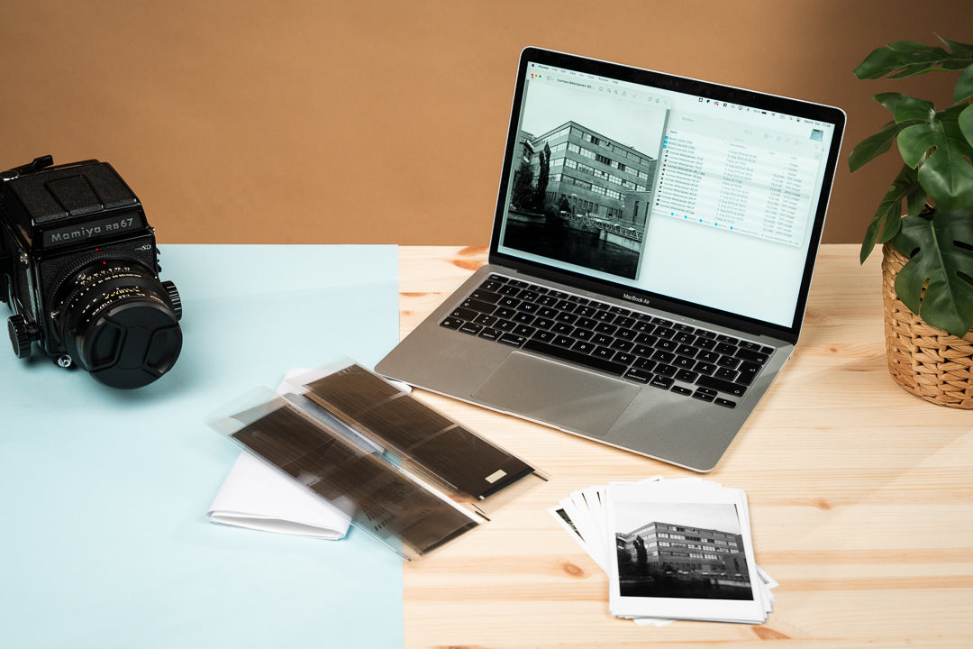 120, B&W (Black & White) Film Dev, Scan & Proof Prints