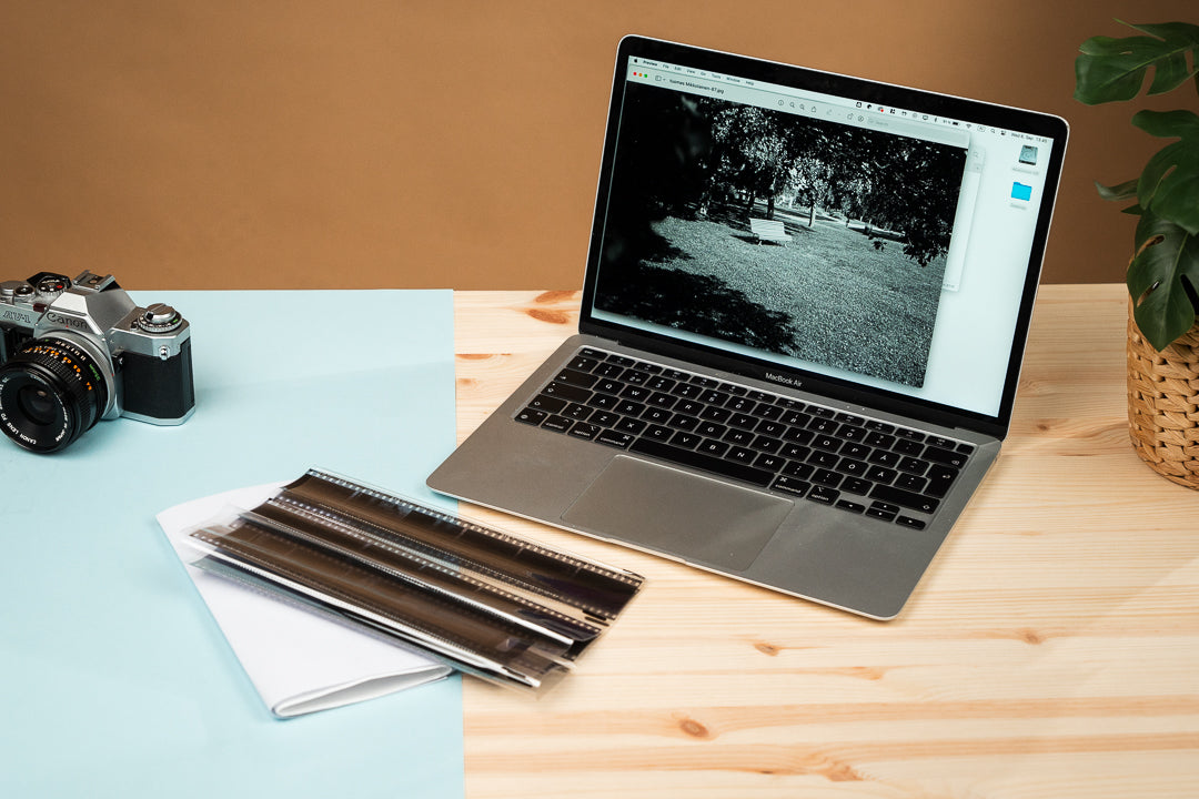 35mm, B&W (Black & White) Film Dev & Scan