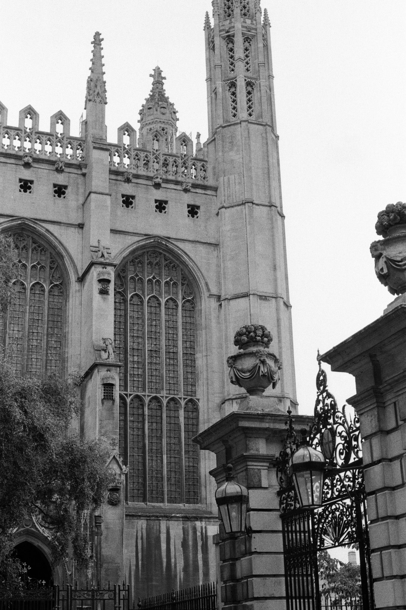 A gate and some trees in the foreground with cathedral on the background.