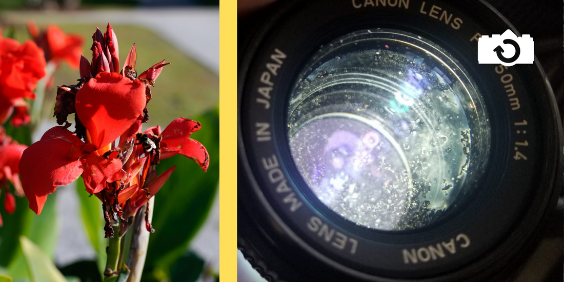 Does a Dirty Lens Affect Image Quality? Fungus, Scratches, Haze & More ...