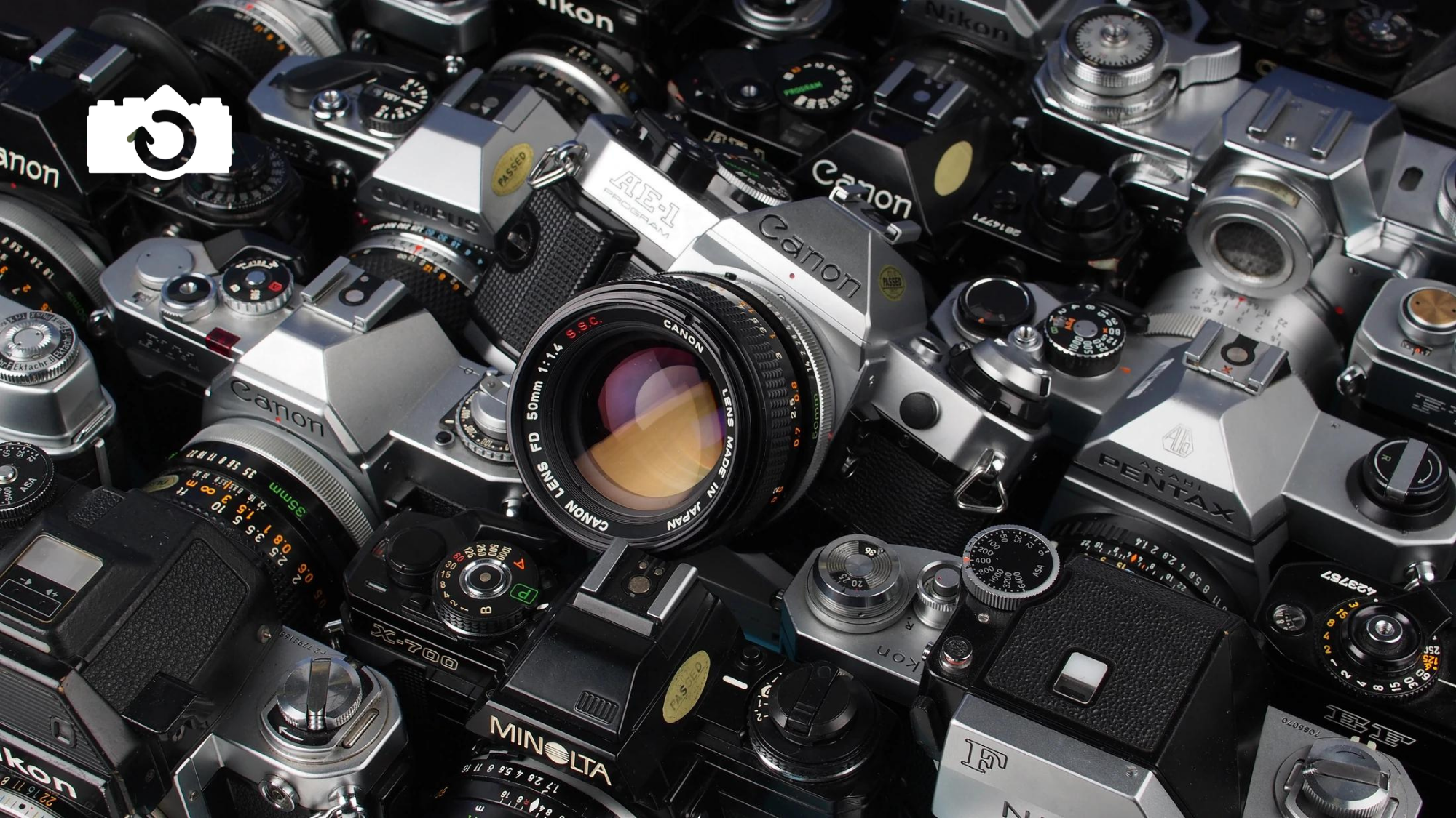 Top 10 35mm SLRs for 2022