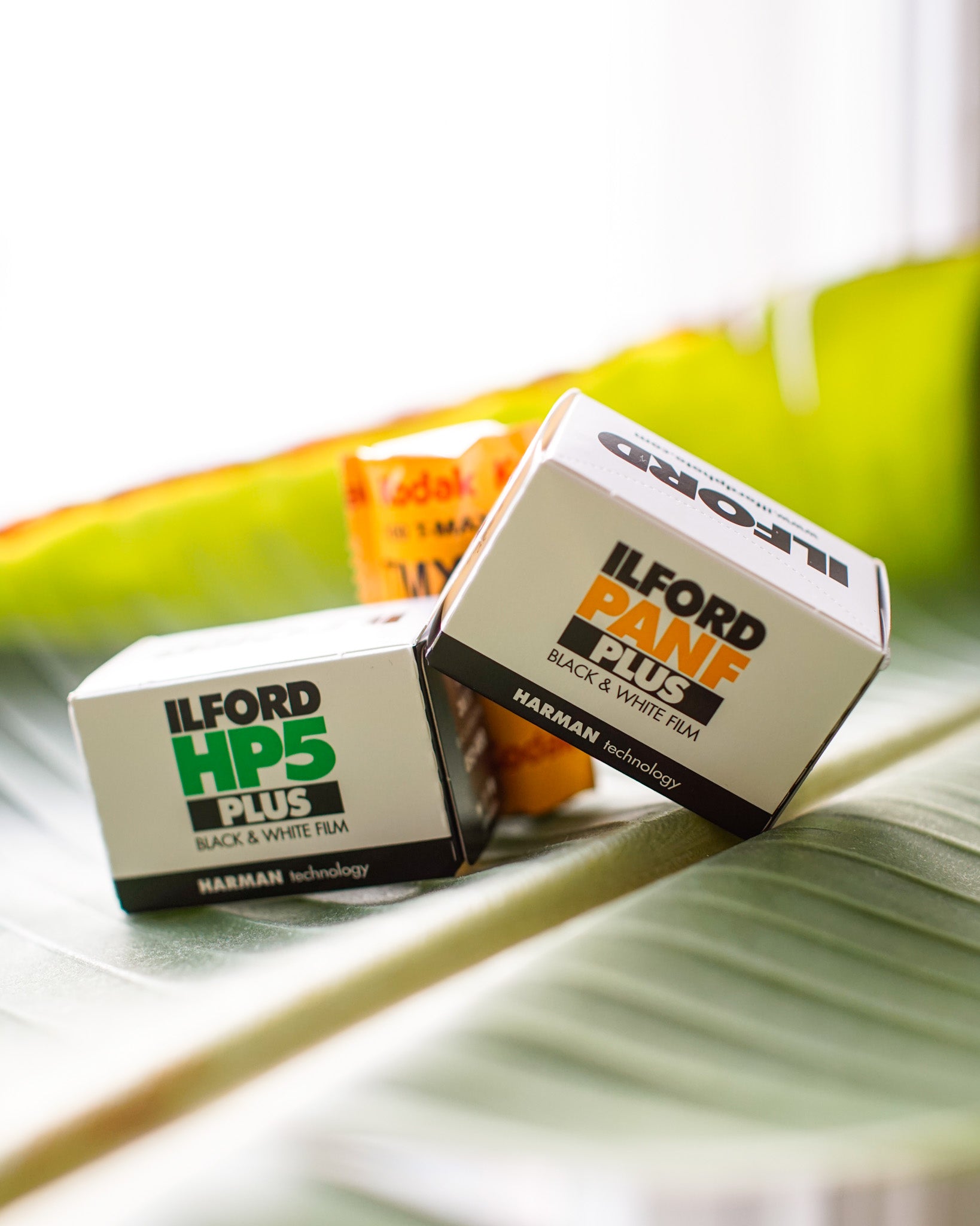 35mm Black & White Film