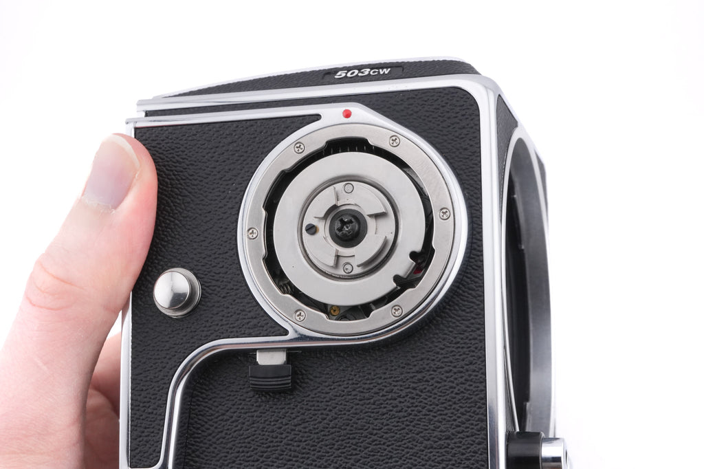 Hasselblad 503CW (Silver, 10243) + A12N Film Magazine + Waist Level Finder (New / Chrome, 42315) + Acute Matte D Microprism / Split Image Focusing Screen (42215) + 80mm f2.8 Planar T* CF (20029) + Winding Crank E (44086)