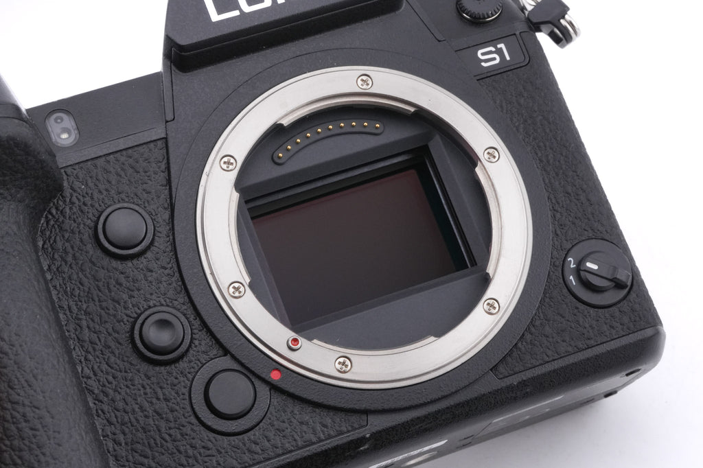 Panasonic Lumix DC-S1