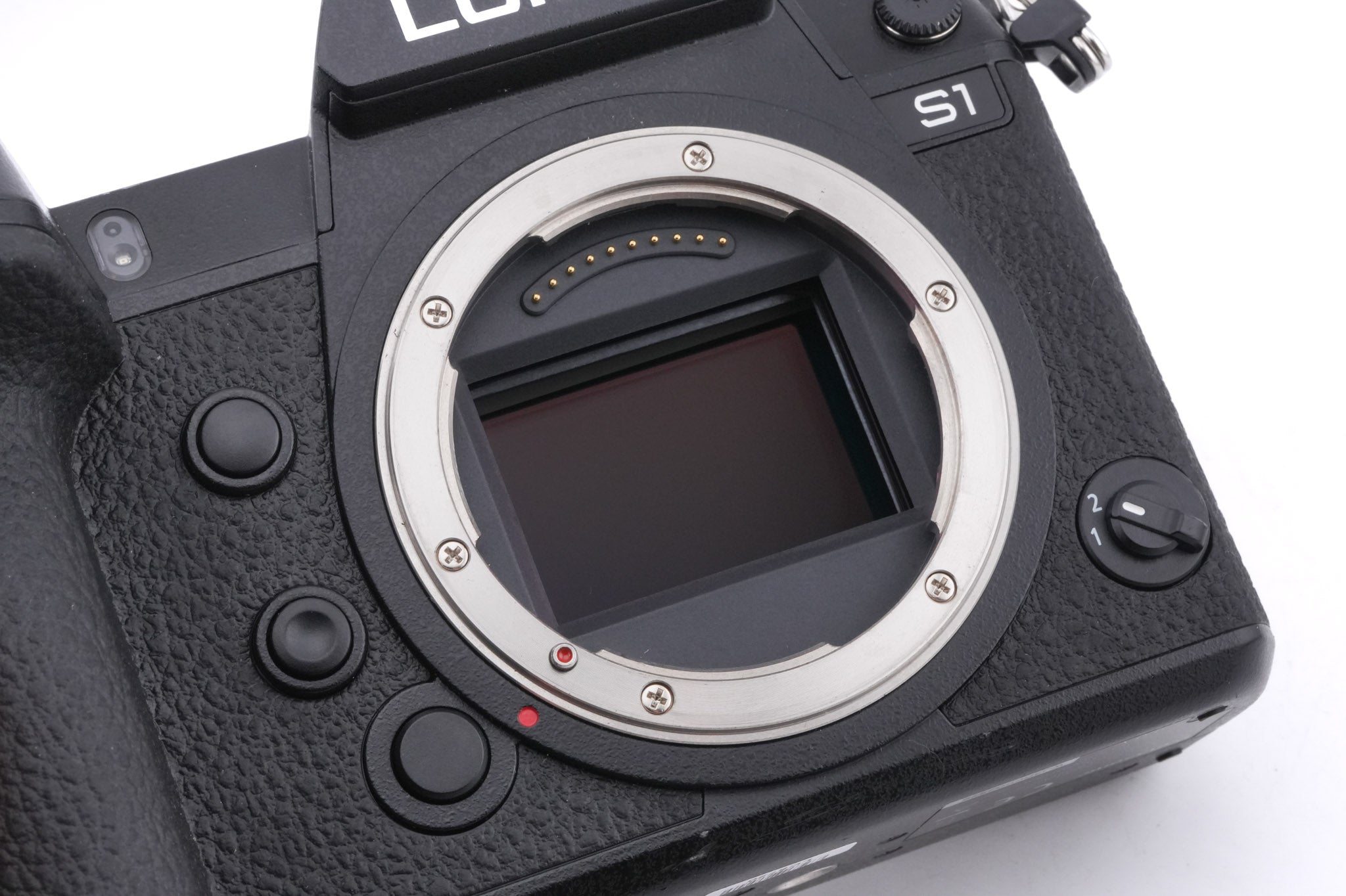 Panasonic Lumix DC-S1