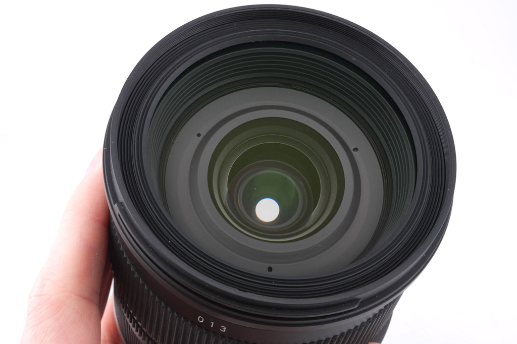 Sigma 24-105mm f4 DG OS HSM Art (013)