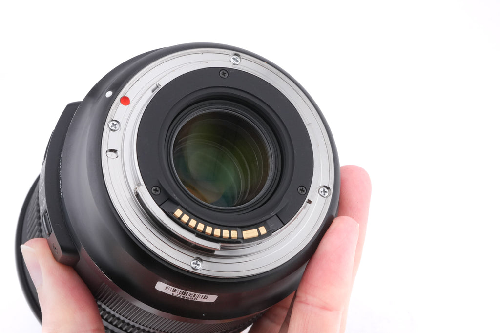 Sigma 24-105mm f4 DG OS HSM Art (013)