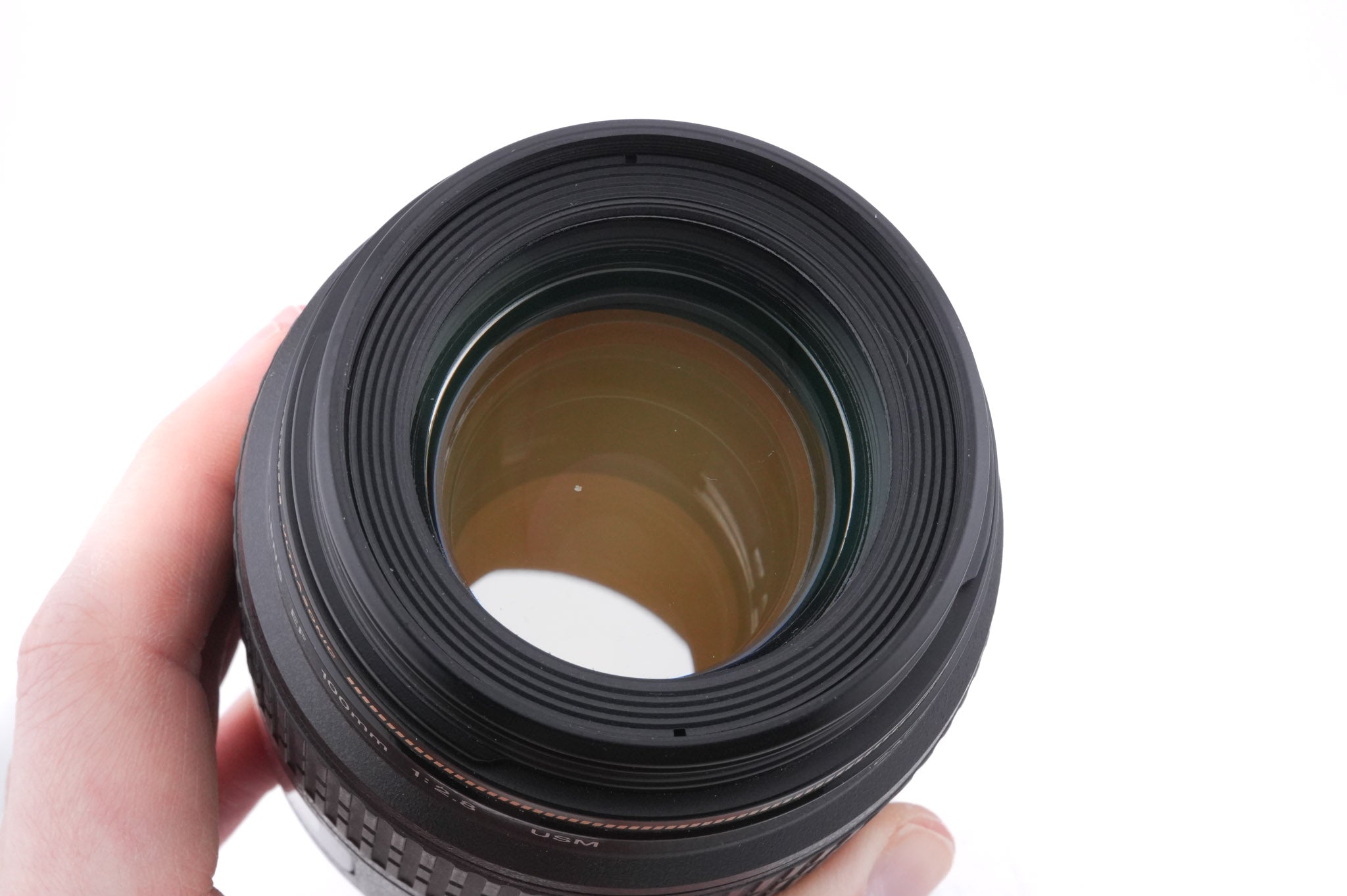 Canon 100mm f2.8 Macro USM