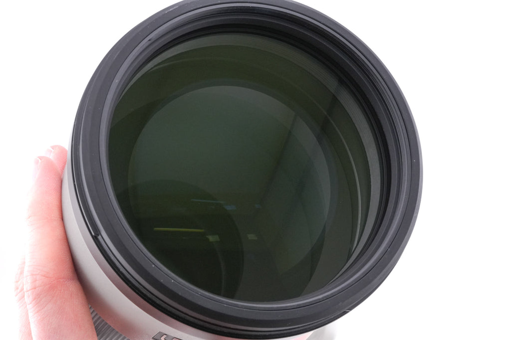 Sony 200-600mm f5.6-6.3 G OSS (SEL200600G)