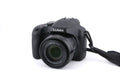 Panasonic Lumix DC-FZ82D - Camera