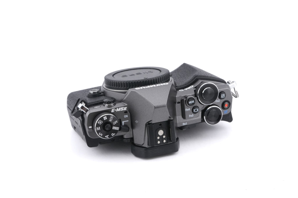 Olympus OM-D E-M5 Mark II + FL-LM3 Flash