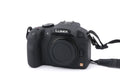 Panasonic Lumix DMC-G6