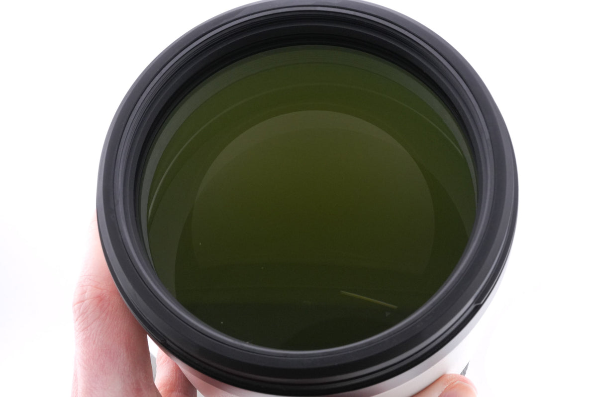 Sony 200-600mm f5.6-6.3 G OSS (SEL200600G)