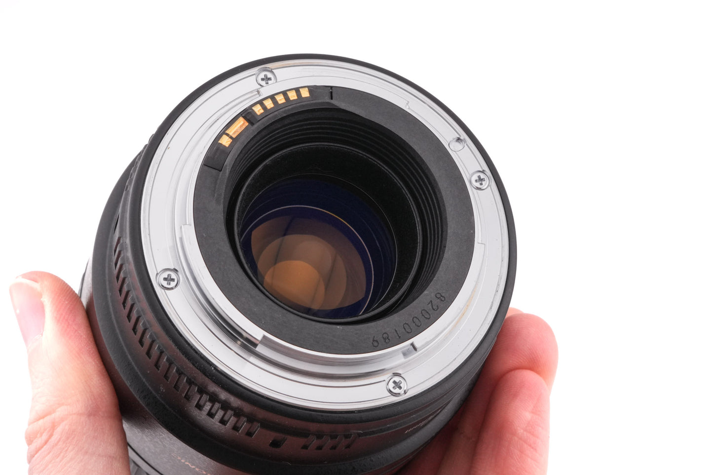 Canon 100mm f2.8 Macro USM