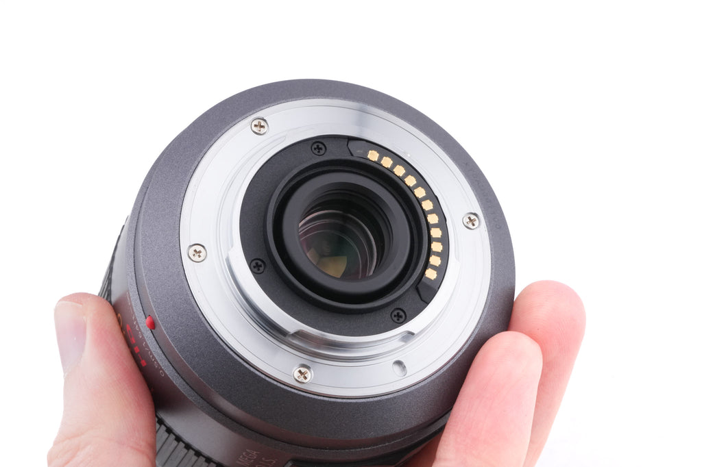 Panasonic 14-140mm f4-5.8 Lumix G Vario HD ASPH. Mega O.I.S. (H-VS014140)