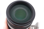 Sony 100-400mm f4.5-5.6 GM OSS (SEL100400GM)