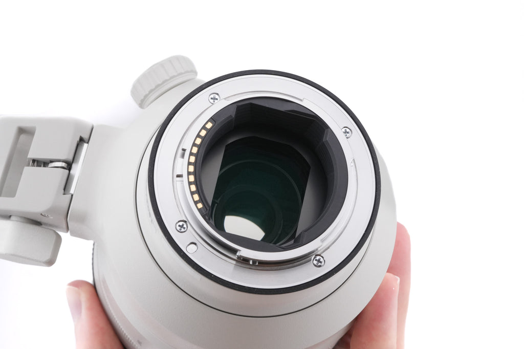 Sony 100-400mm f4.5-5.6 GM OSS (SEL100400GM)