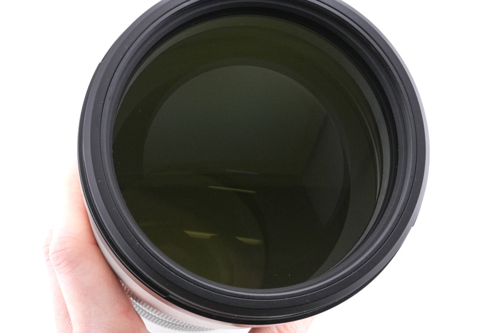 Sony 200-600mm f5.6-6.3 G OSS (SEL200600G)