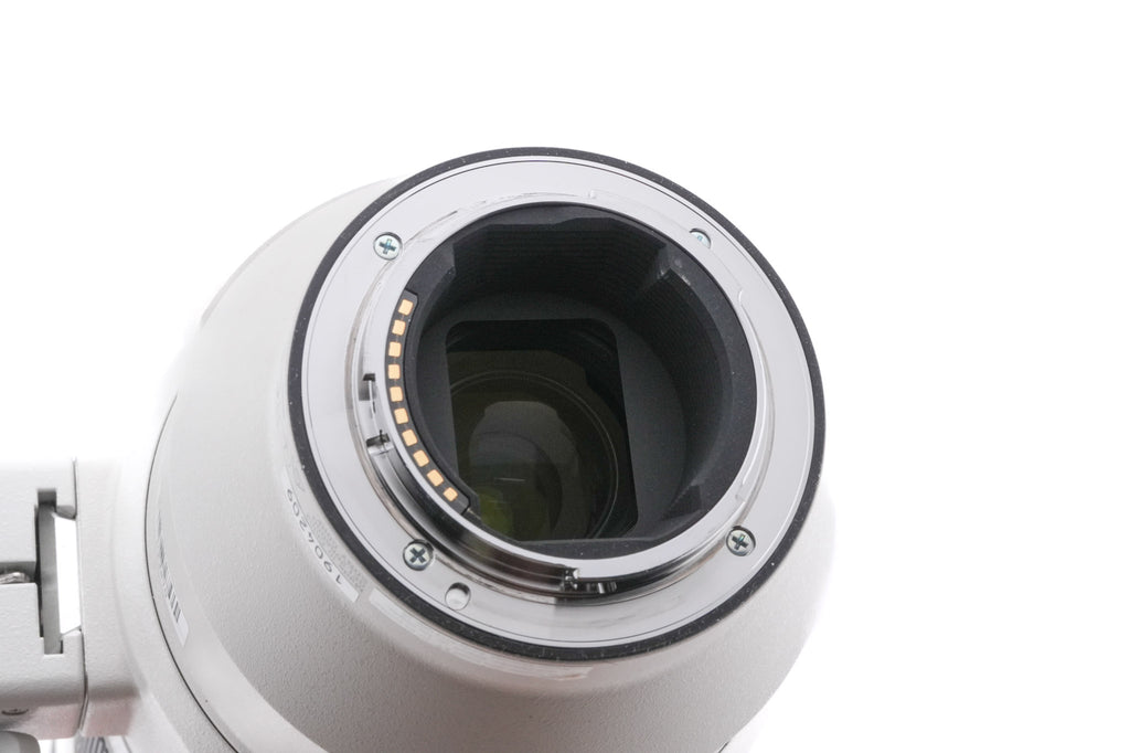 Sony 200-600mm f5.6-6.3 G OSS (SEL200600G)