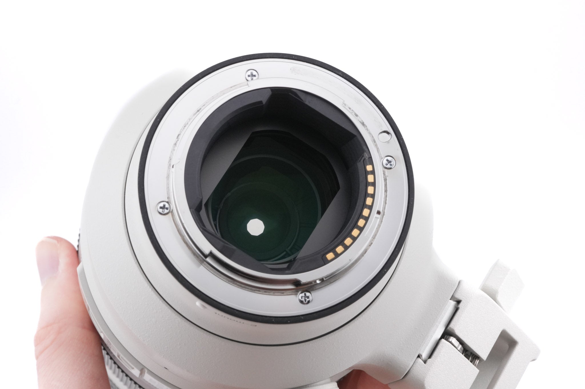 Sony 100-400mm f4.5-5.6 GM OSS (SEL100400GM)
