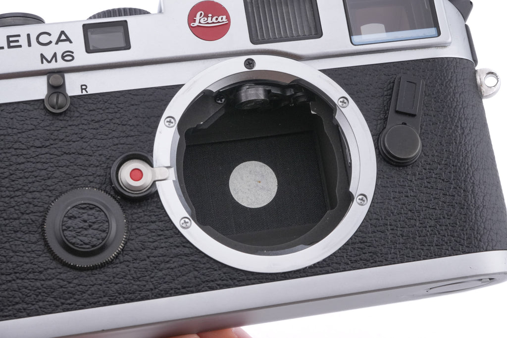 Leica M6 ("Panda") (Silver, 10414)