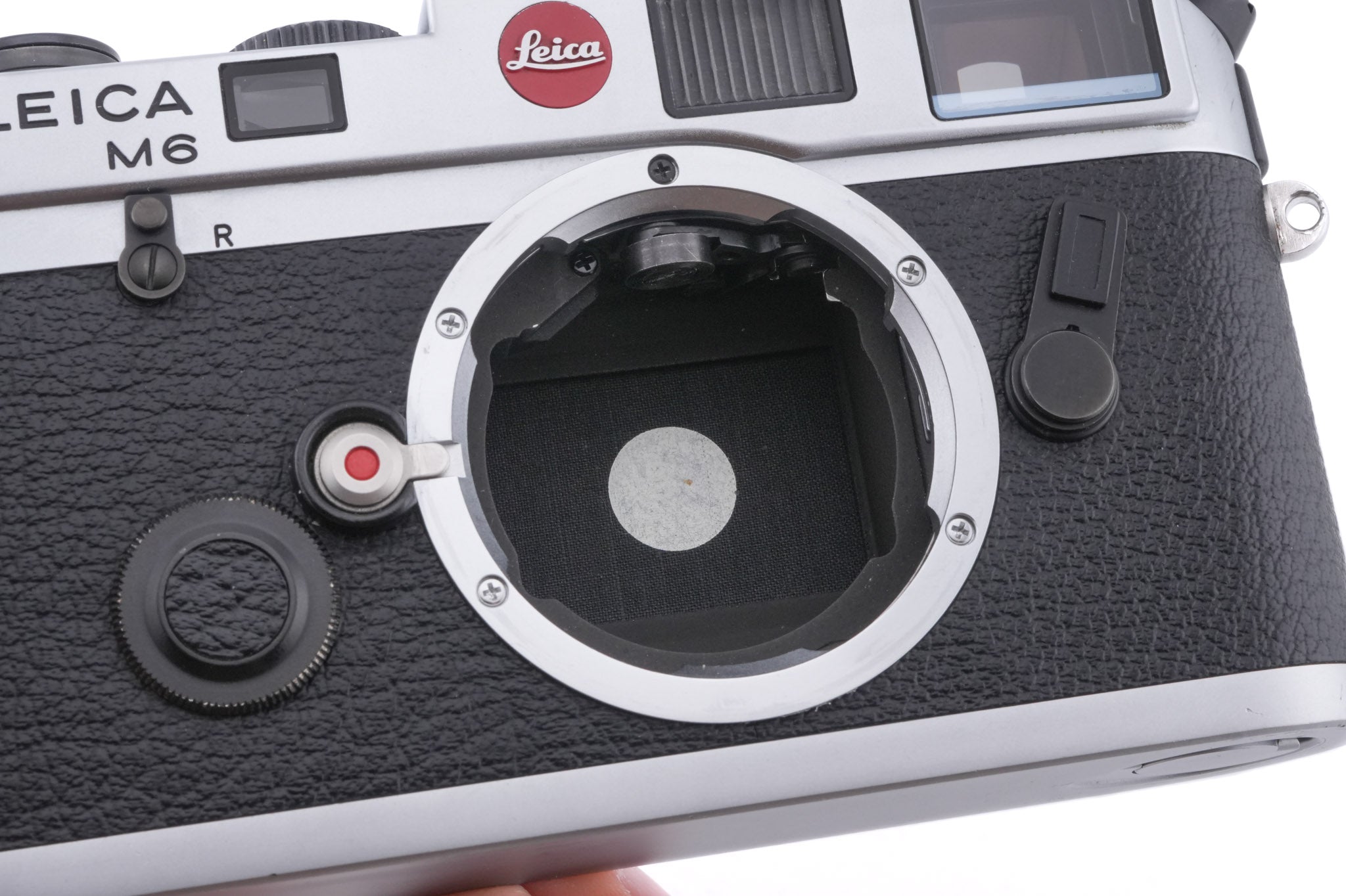 Leica M6 ("Panda") (Silver, 10414)