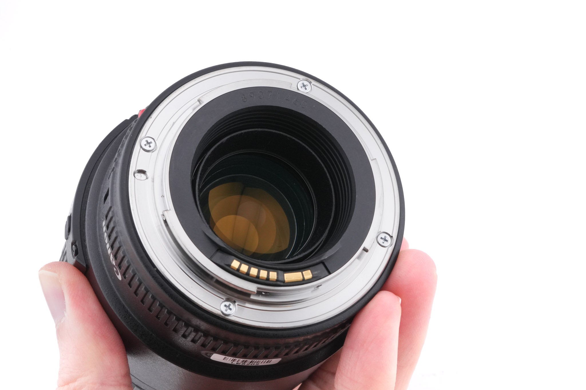 Canon 100mm f2.8 Macro USM