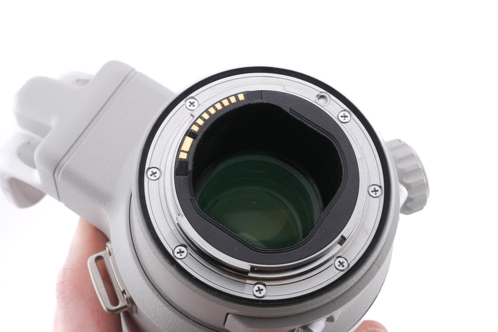 Canon 400mm f4 DO IS II USM