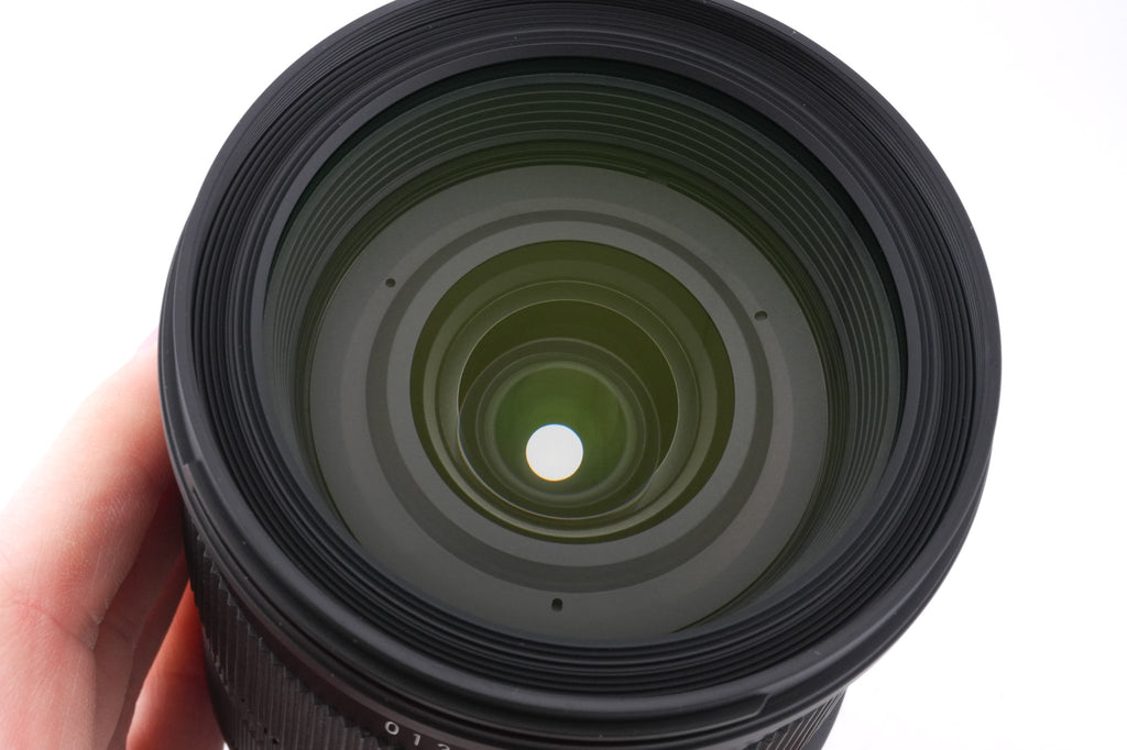 Sigma 24-105mm f4 DG OS HSM Art (013)