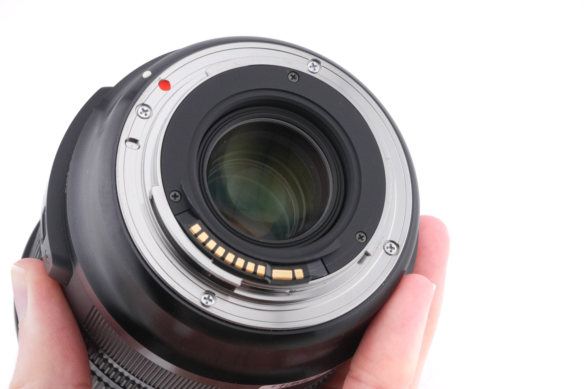 Sigma 24-105mm f4 DG OS HSM Art (013)