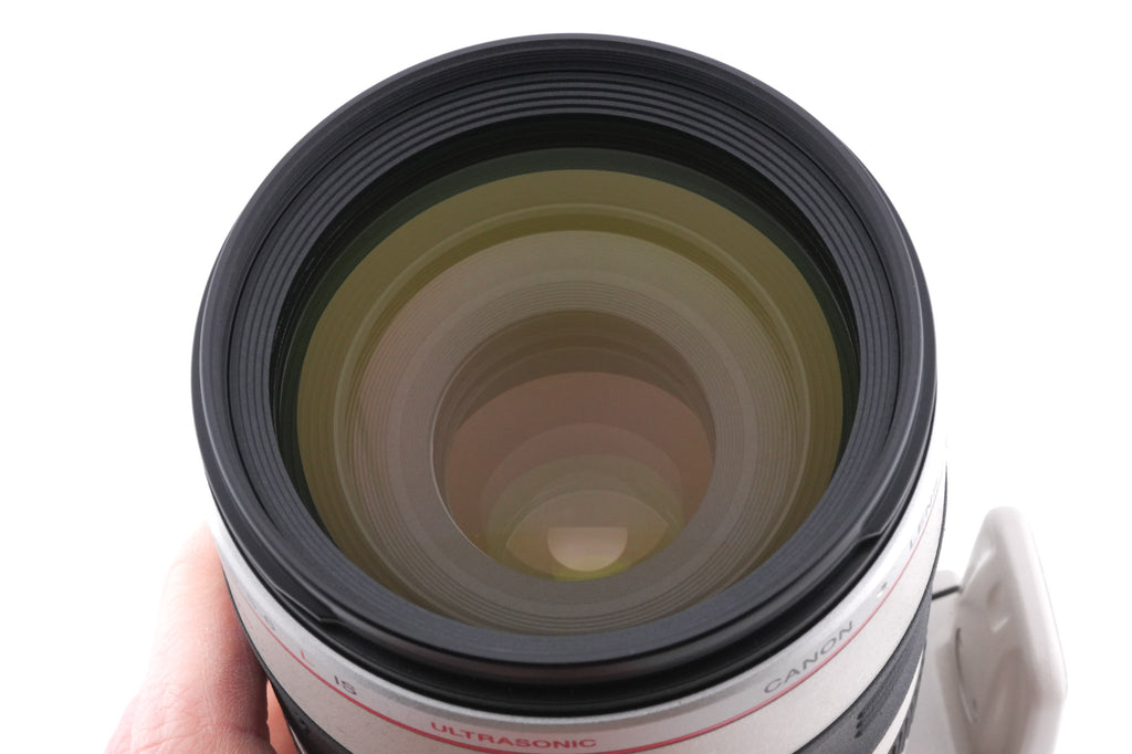 Canon 100-400mm f4.5-5.6 L IS USM