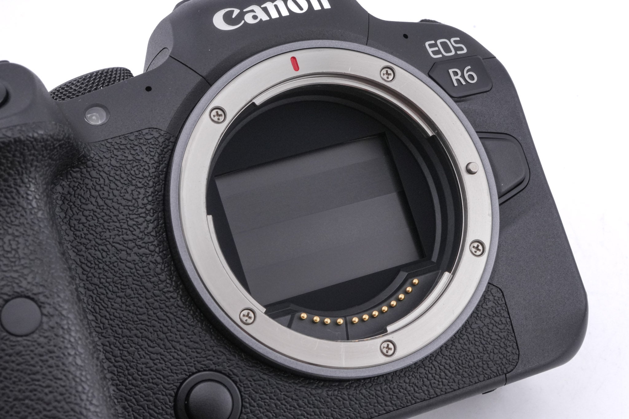 Canon EOS R6