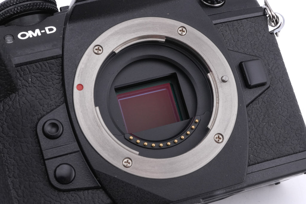 Olympus OM-D E-M1 Mark II