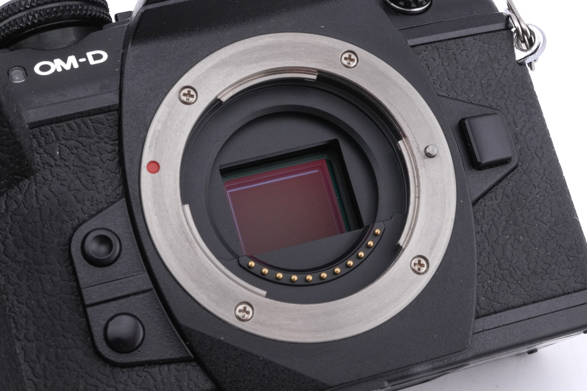 Olympus OM-D E-M1 Mark II