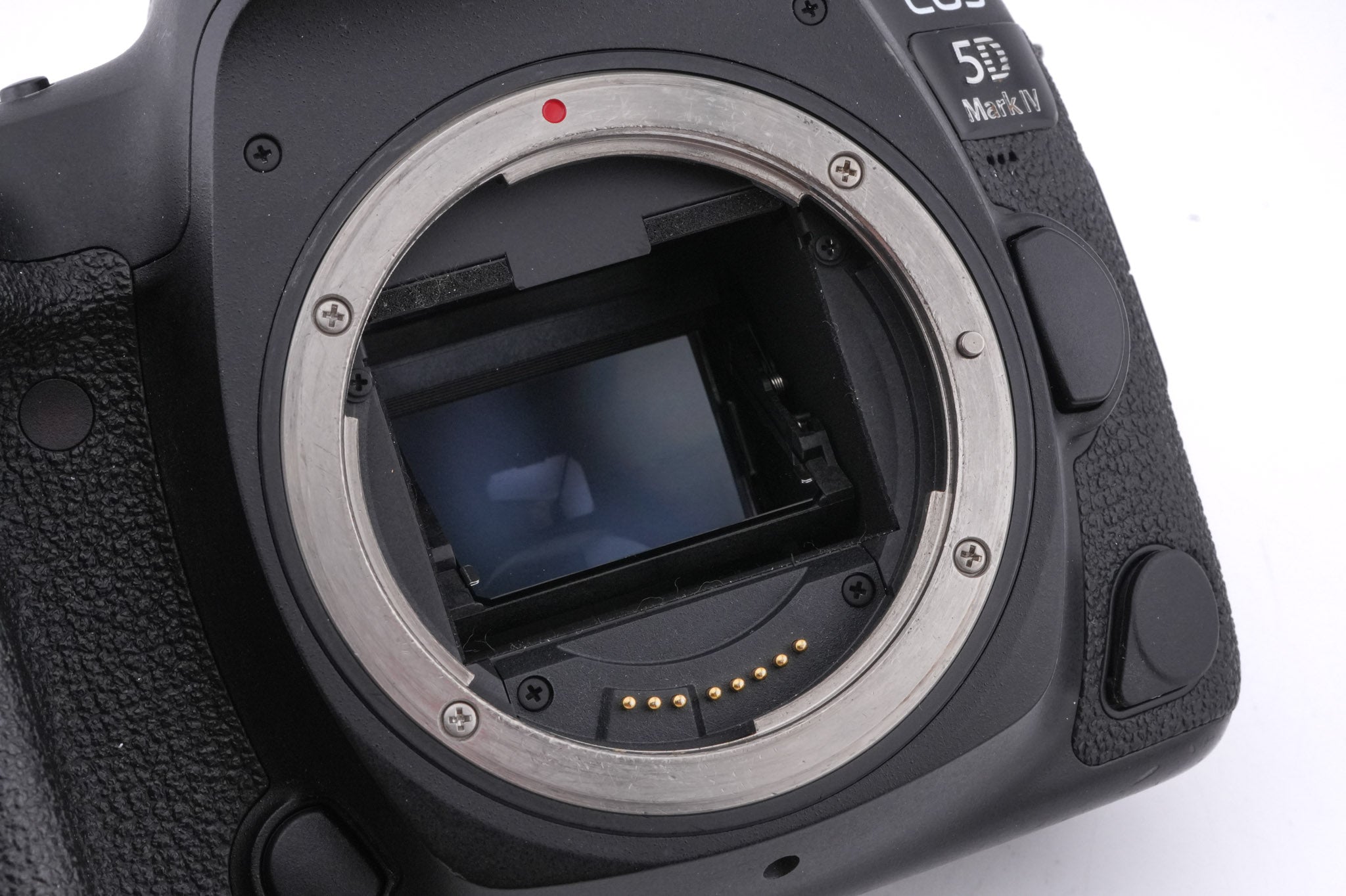 Canon EOS 5D Mark IV