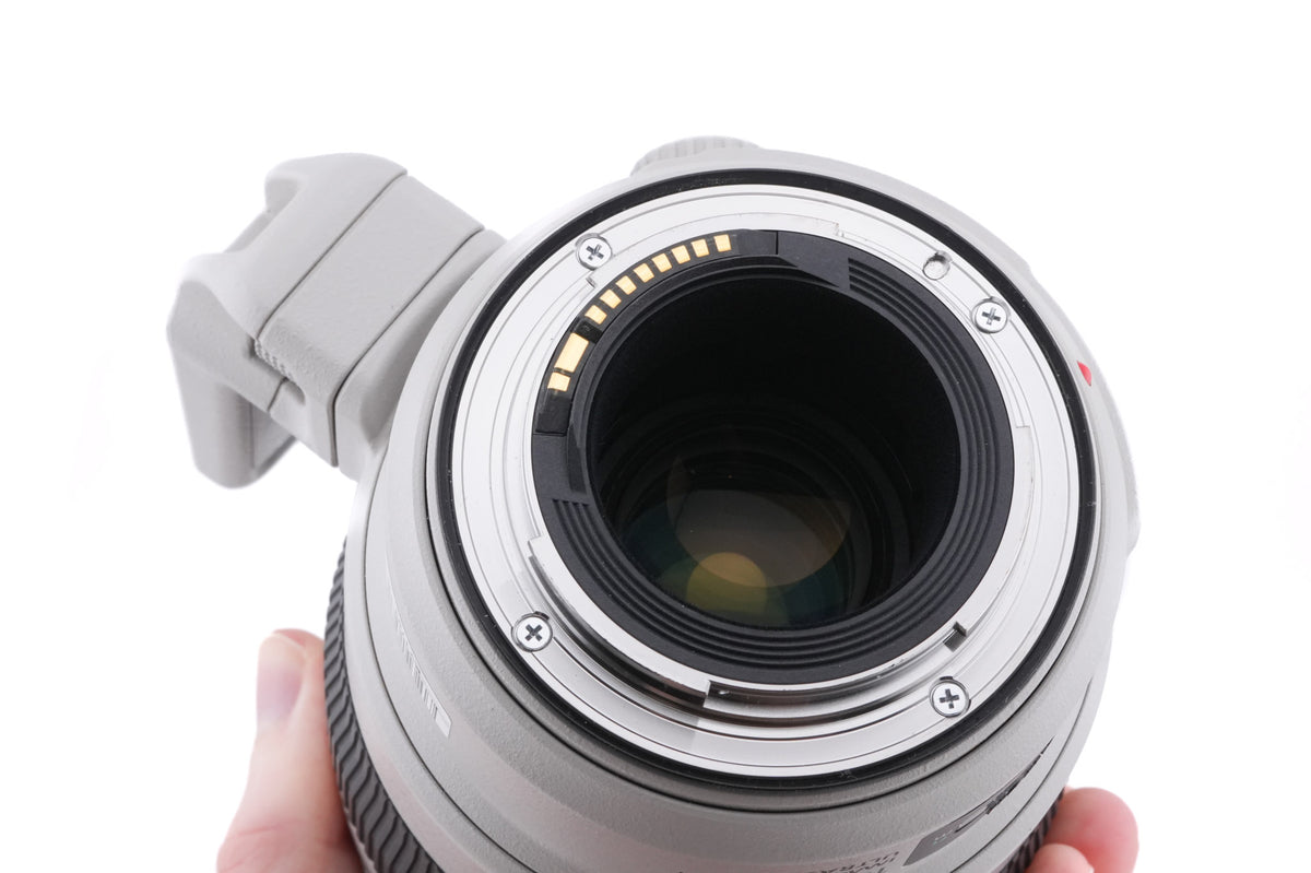 Canon 100-400mm f4.5-5.6 L IS II USM