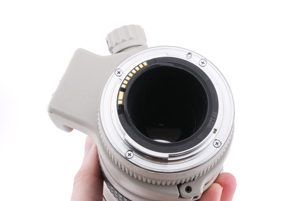 Canon 300mm f4 L USM