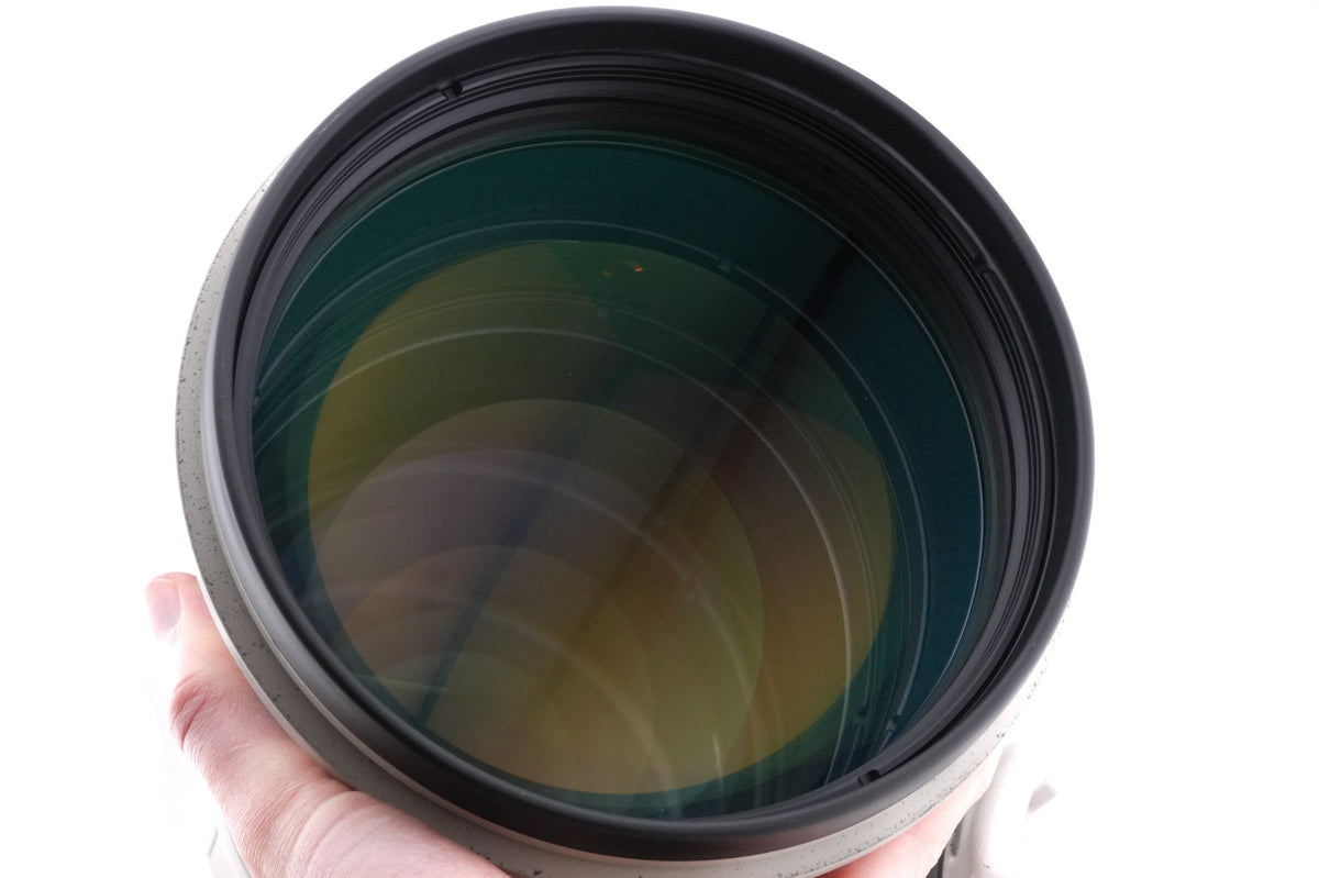 Canon 400mm f2.8 L IS USM