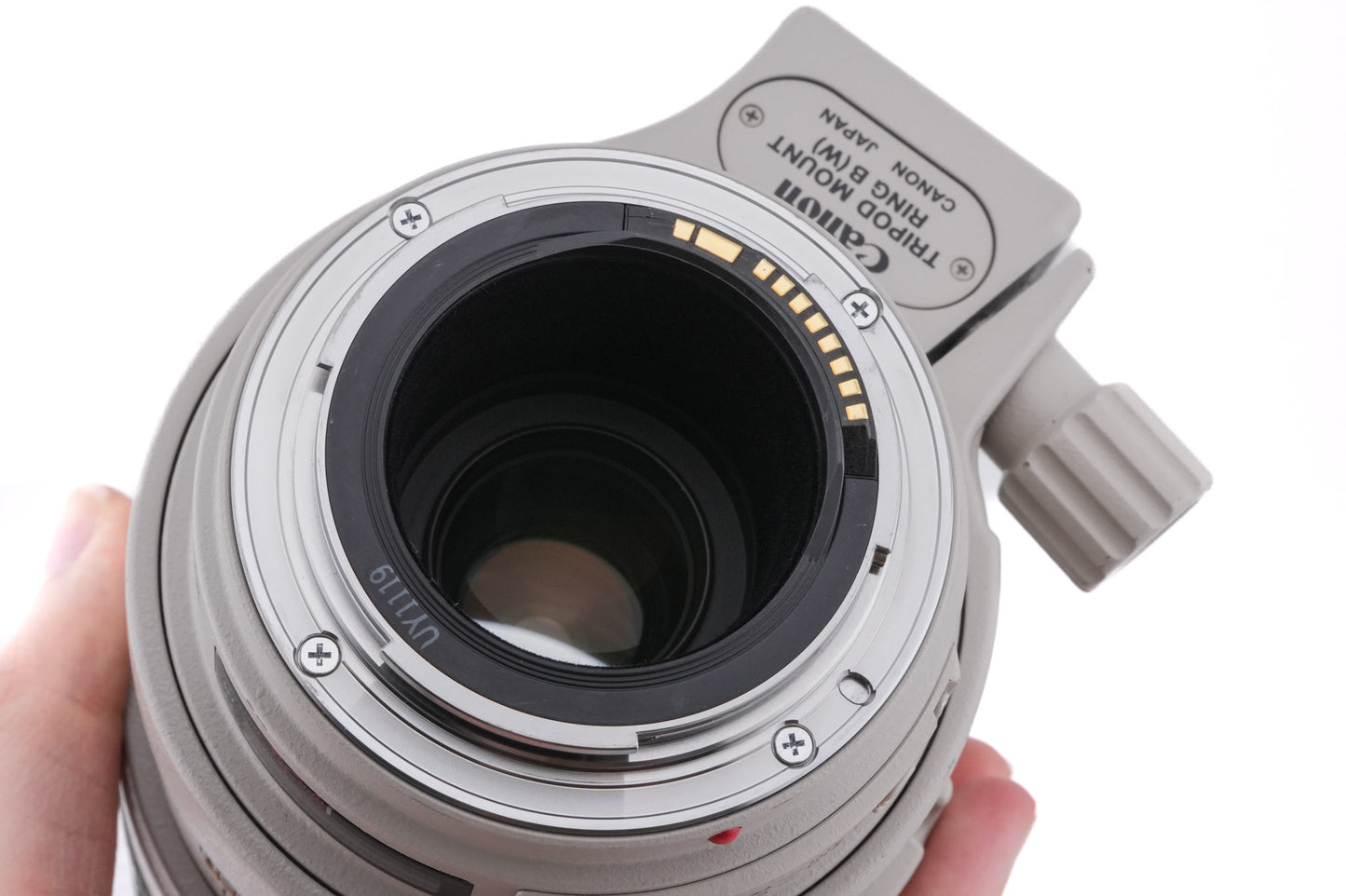 Canon 100-400mm f4.5-5.6 L IS USM