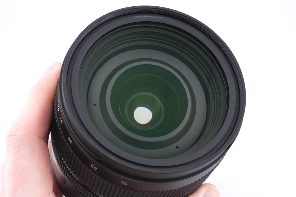 Sigma 24-70mm f2.8 DG OS HSM Art (017)
