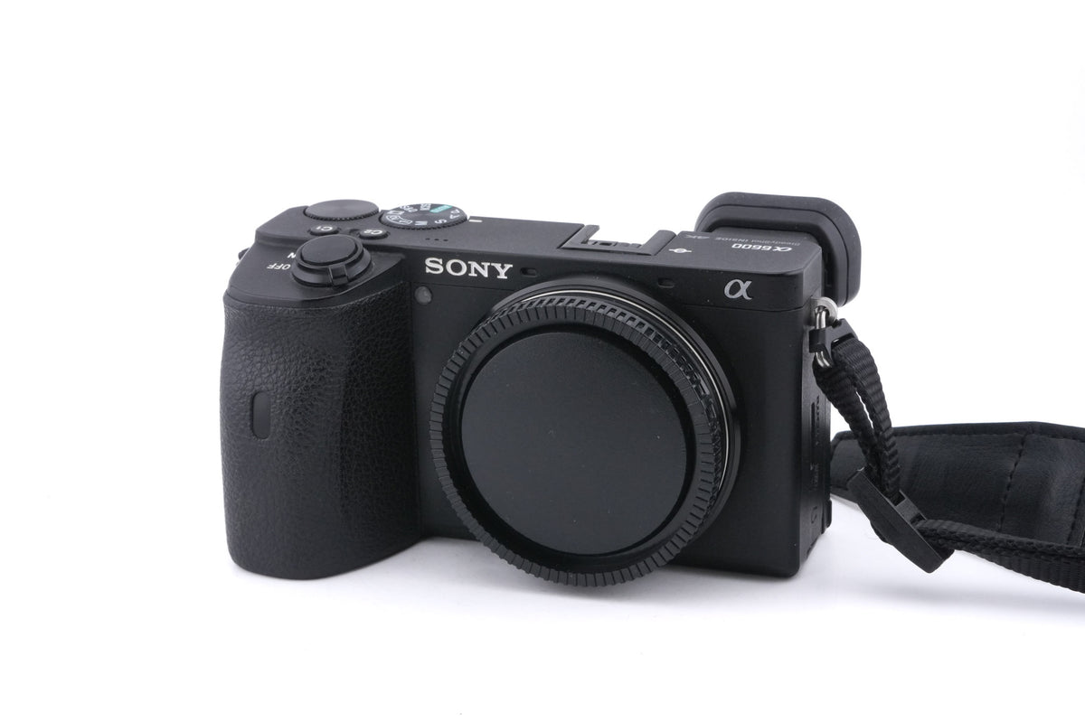 Sony A6600
