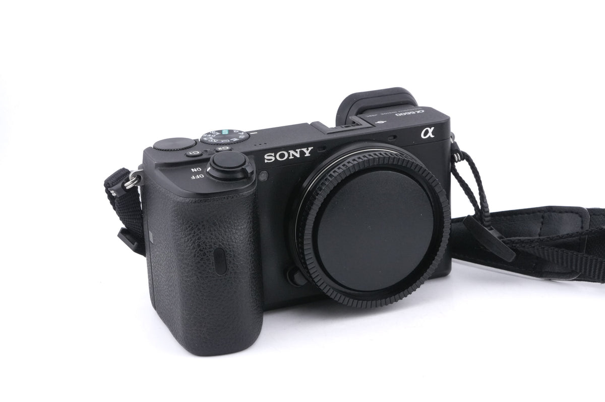 Sony A6600