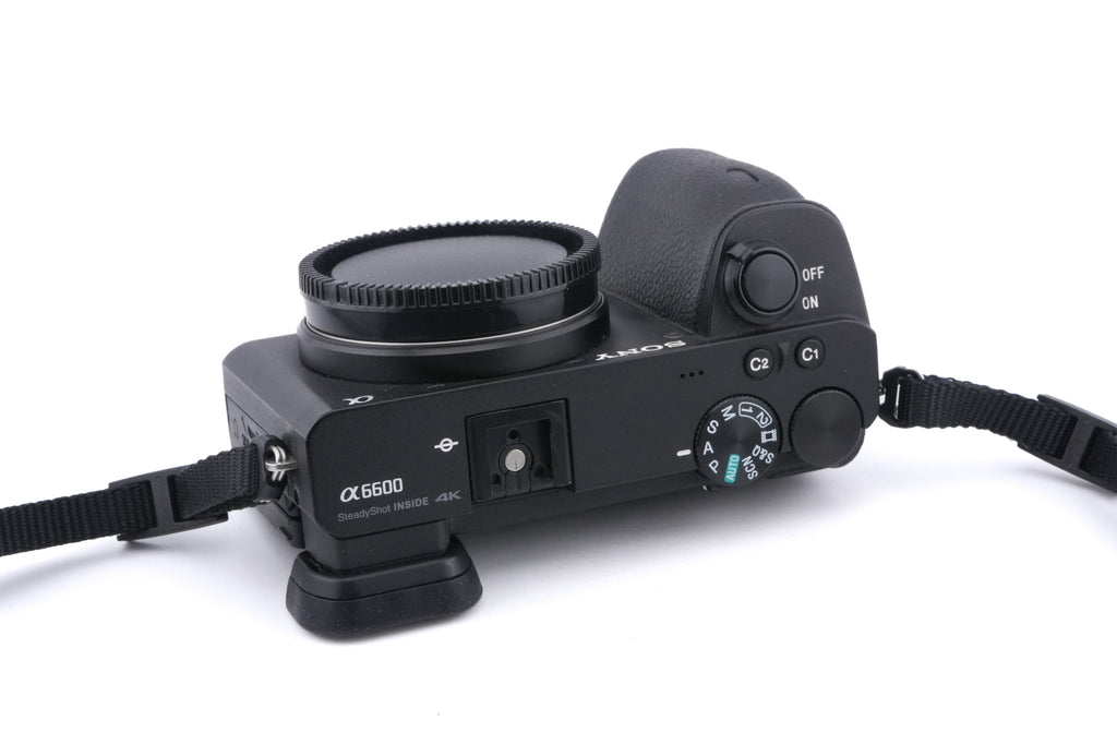 Sony A6600