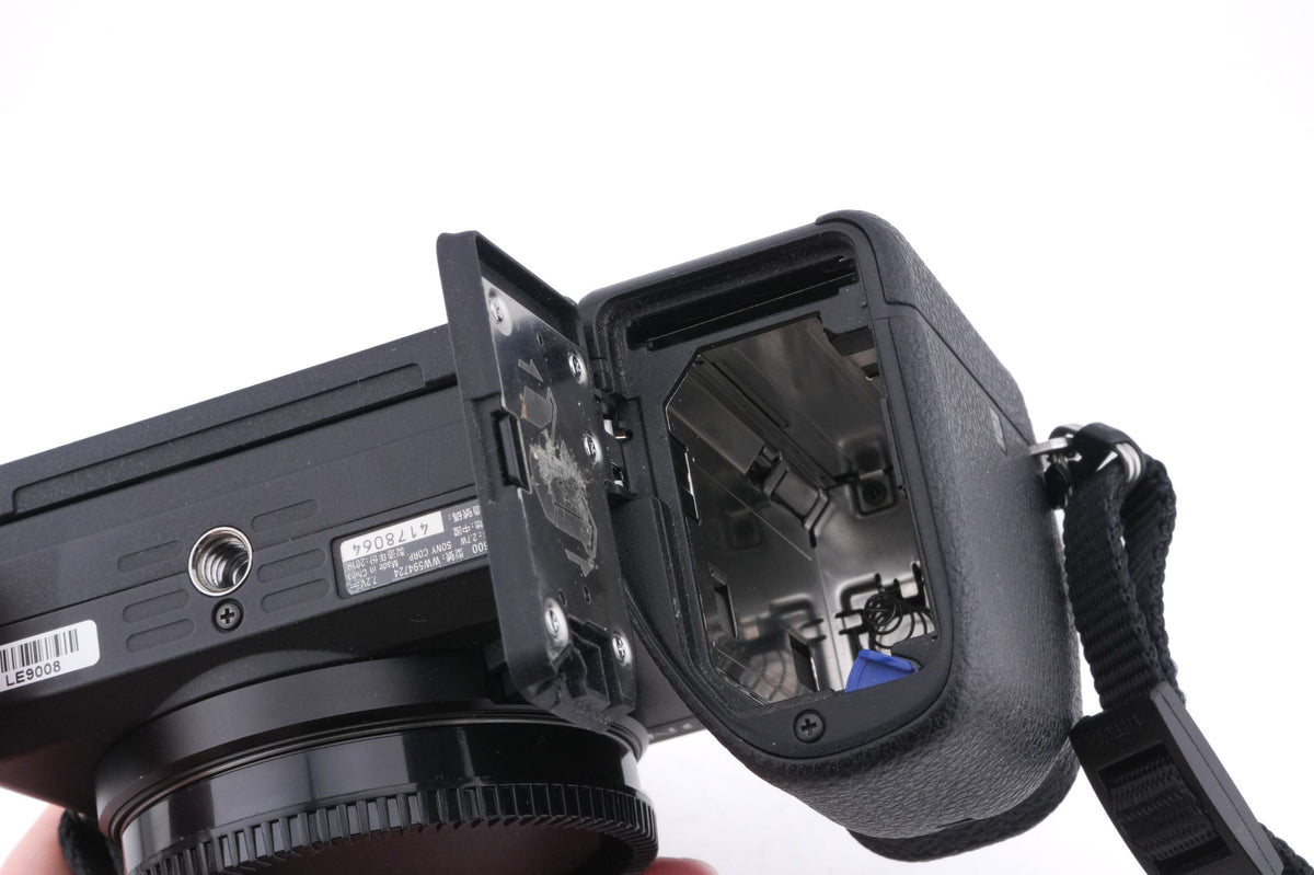 Sony A6600