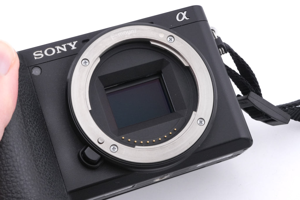 Sony A6600
