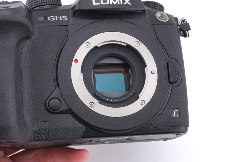 Panasonic Lumix DC-GH5