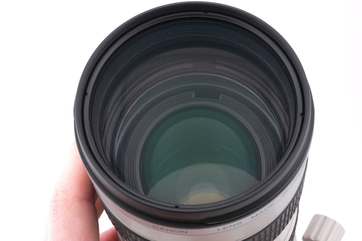 Canon 70-200mm f2.8 L USM