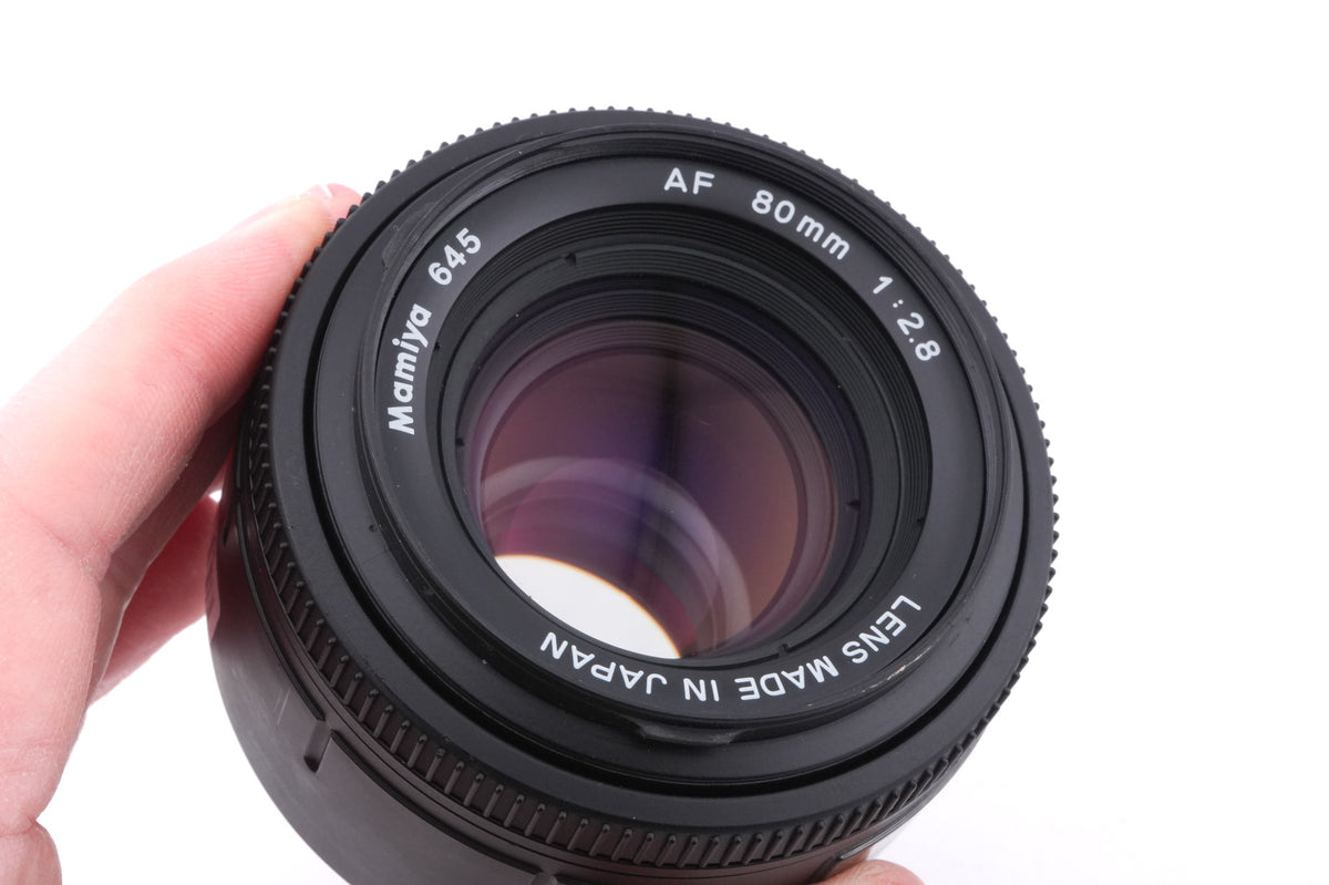Mamiya 645AFD + 80mm f2.8 AF + HM401 Film Back